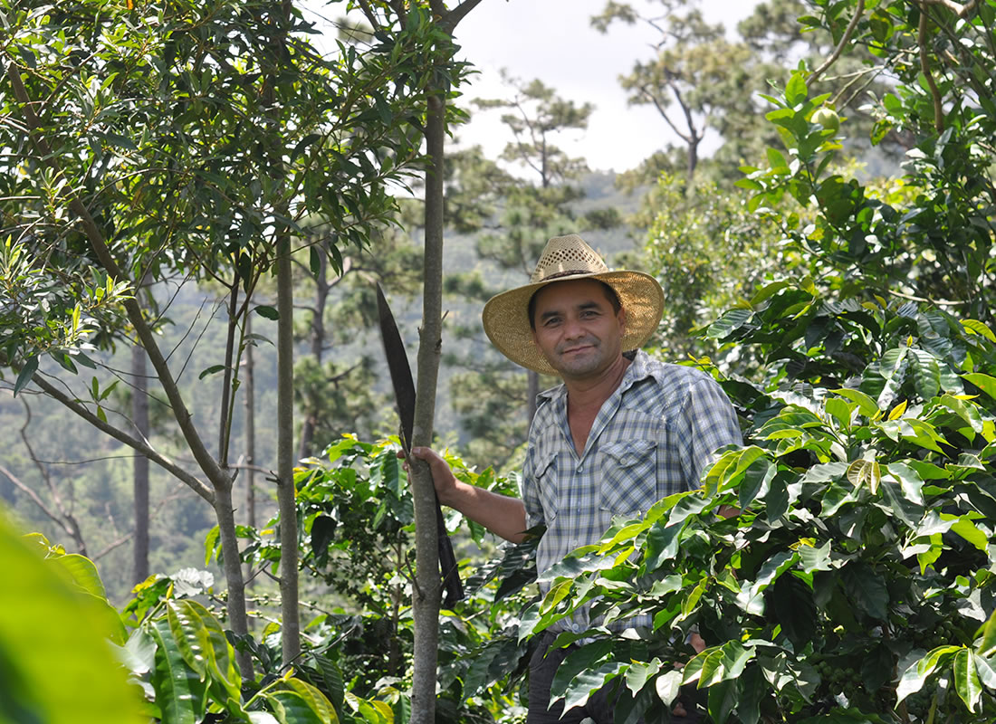 Farmár z Hondurasu